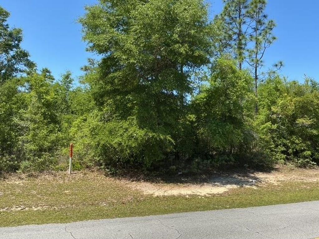Photo of Country Club Boulevard, Chipley, FL 32428 (MLS # 399907)