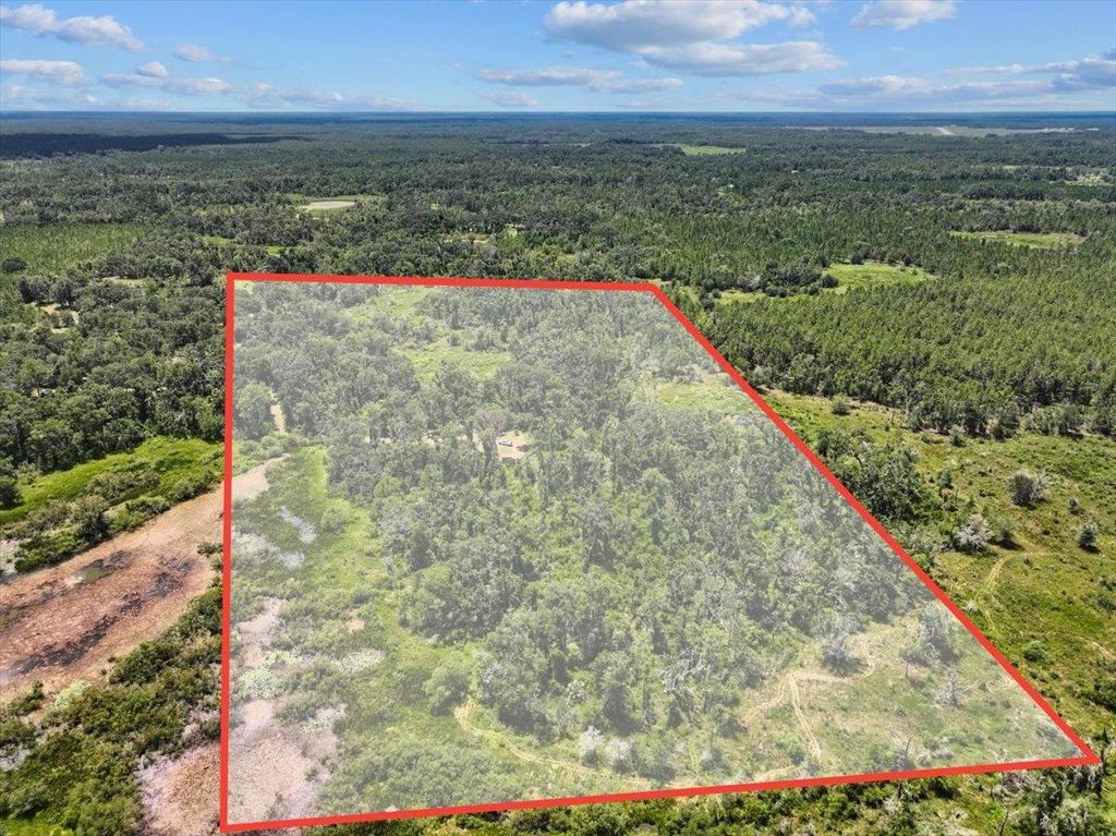 Photo of 5582 H P Padgett Road, Perry, FL 32348 (MLS # 389247)