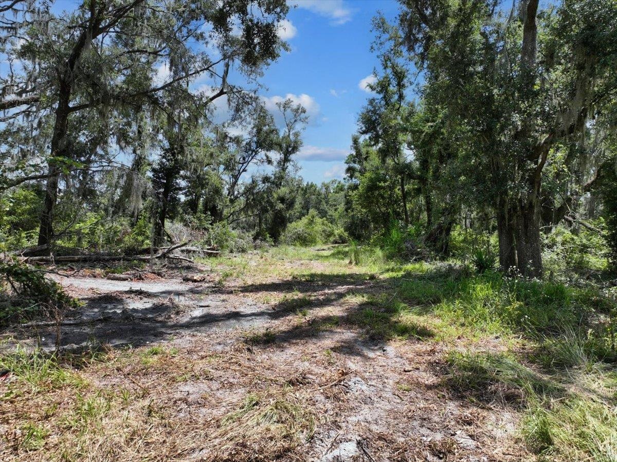 5582 H P Padgett Road