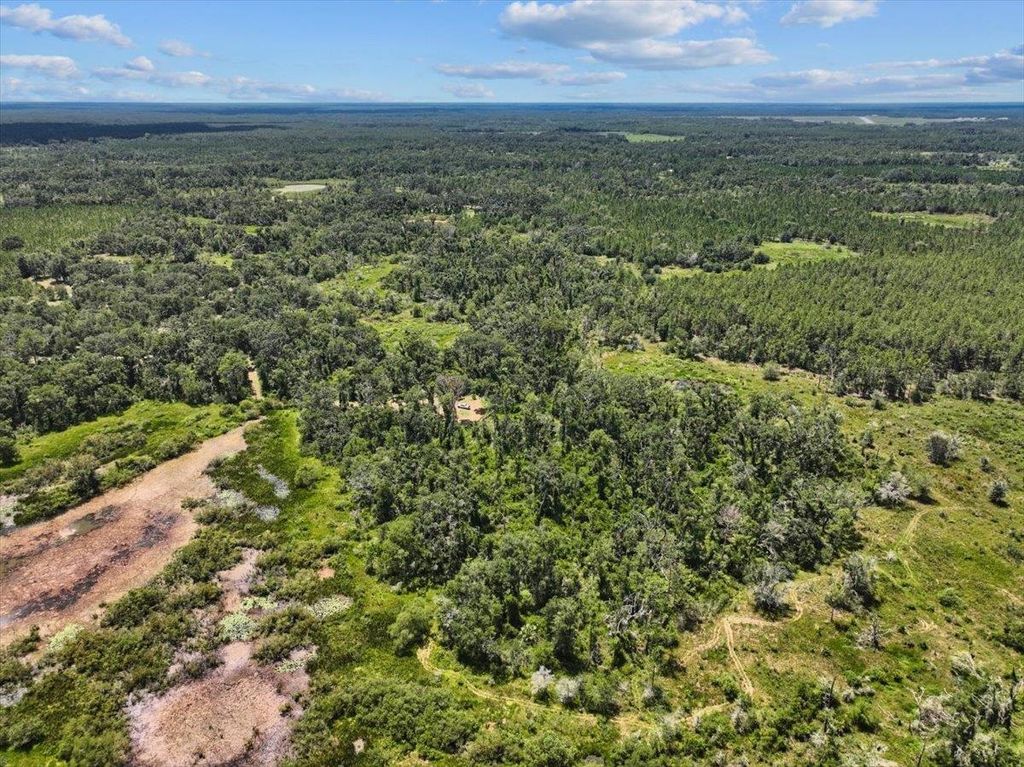 Photo of 5582 H P Padgett Road, Perry, FL 32348 (MLS # 389247)