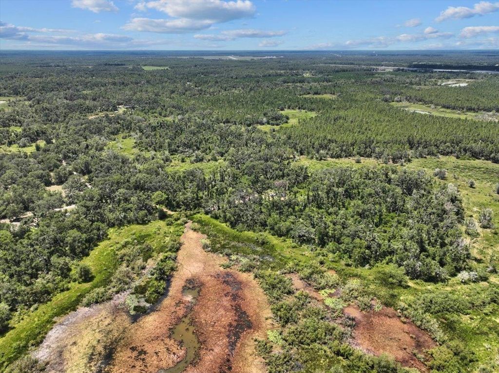 Photo of 5582 H P Padgett Road, Perry, FL 32348 (MLS # 389247)