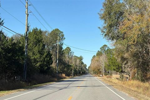 Tiny photo for 4127 Mahogany Boulevard, Other Florida, FL 32110 (MLS # 396841)