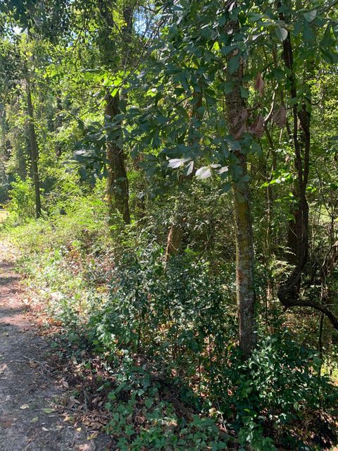 Tiny photo for 0 Buck Lake Road, Tallahassee, FL 32317 (MLS # 391029)