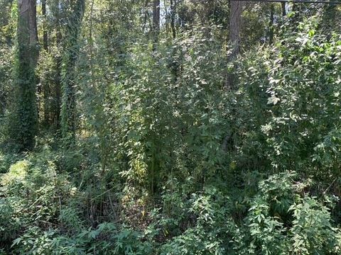 Photo of 0 Buck Lake Road, Tallahassee, FL 32317 (MLS # 391029)