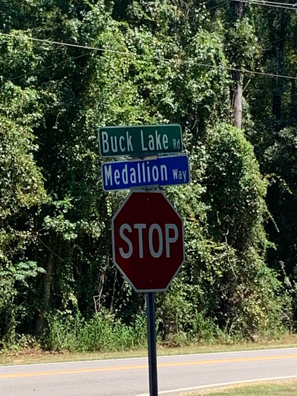 Photo of 0 Buck Lake Road, Tallahassee, FL 32317 (MLS # 391029)