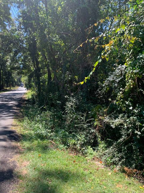 Tiny photo for 0 Buck Lake Road, Tallahassee, FL 32317 (MLS # 391029)