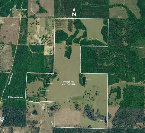 Photo of 1328 1328 O Connell Lane, Chipley, FL 32428 (MLS # 398471)