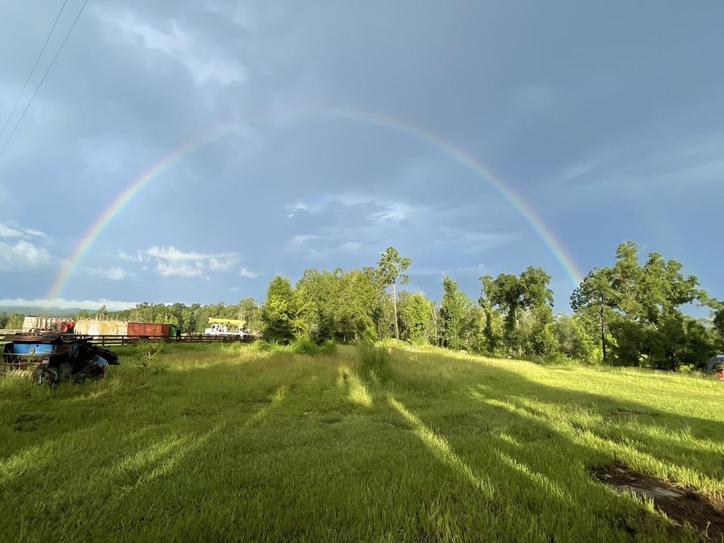 Photo of 1328 1328 O Connell Lane, Chipley, FL 32428 (MLS # 398471)