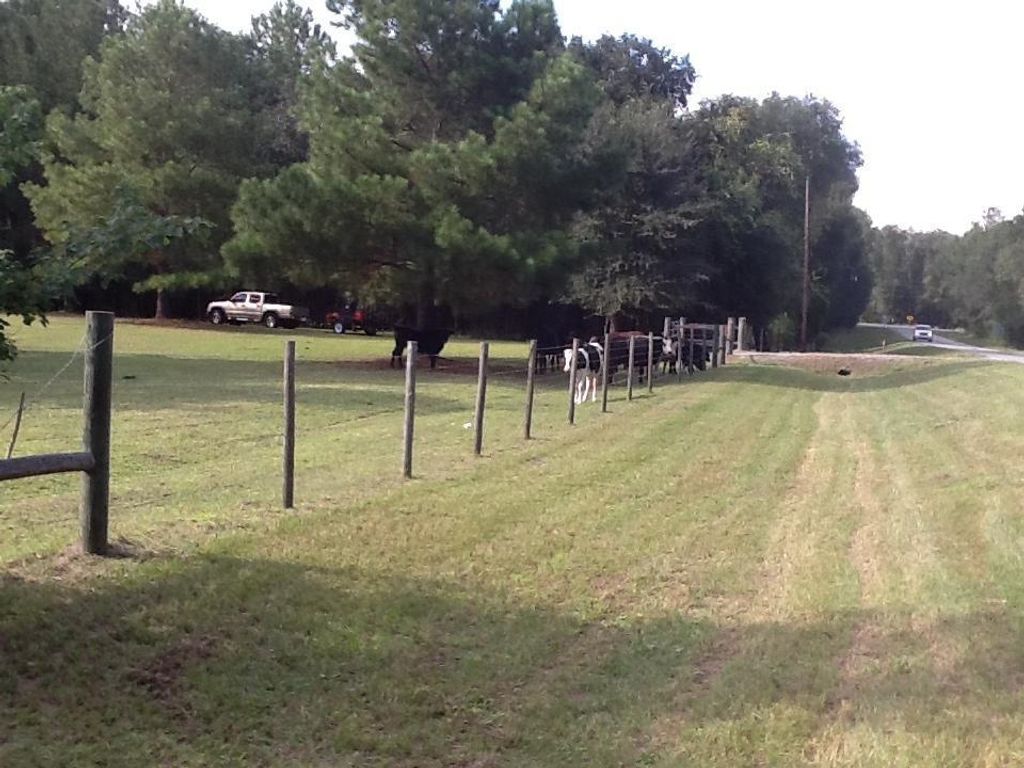 Photo of 0 NE Dusty Miller Avenue, Madison, FL 32350 (MLS # 377463)