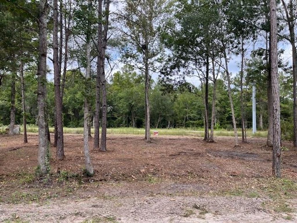Photo of xx Bernard Avenue, Sopchoppy, FL 32358 (MLS # 391750)