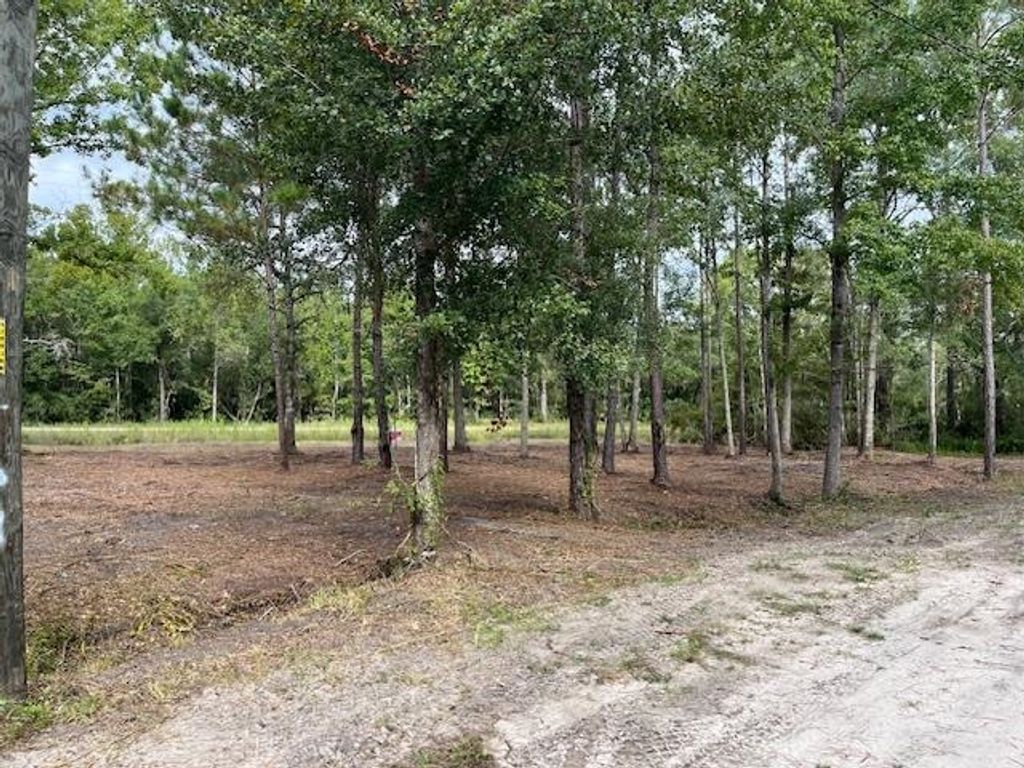 Photo of xx Bernard Avenue, Sopchoppy, FL 32358 (MLS # 391750)
