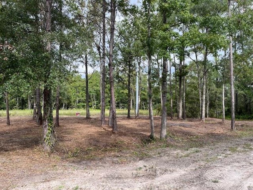 Photo of xx Bernard Avenue, Sopchoppy, FL 32358 (MLS # 391750)