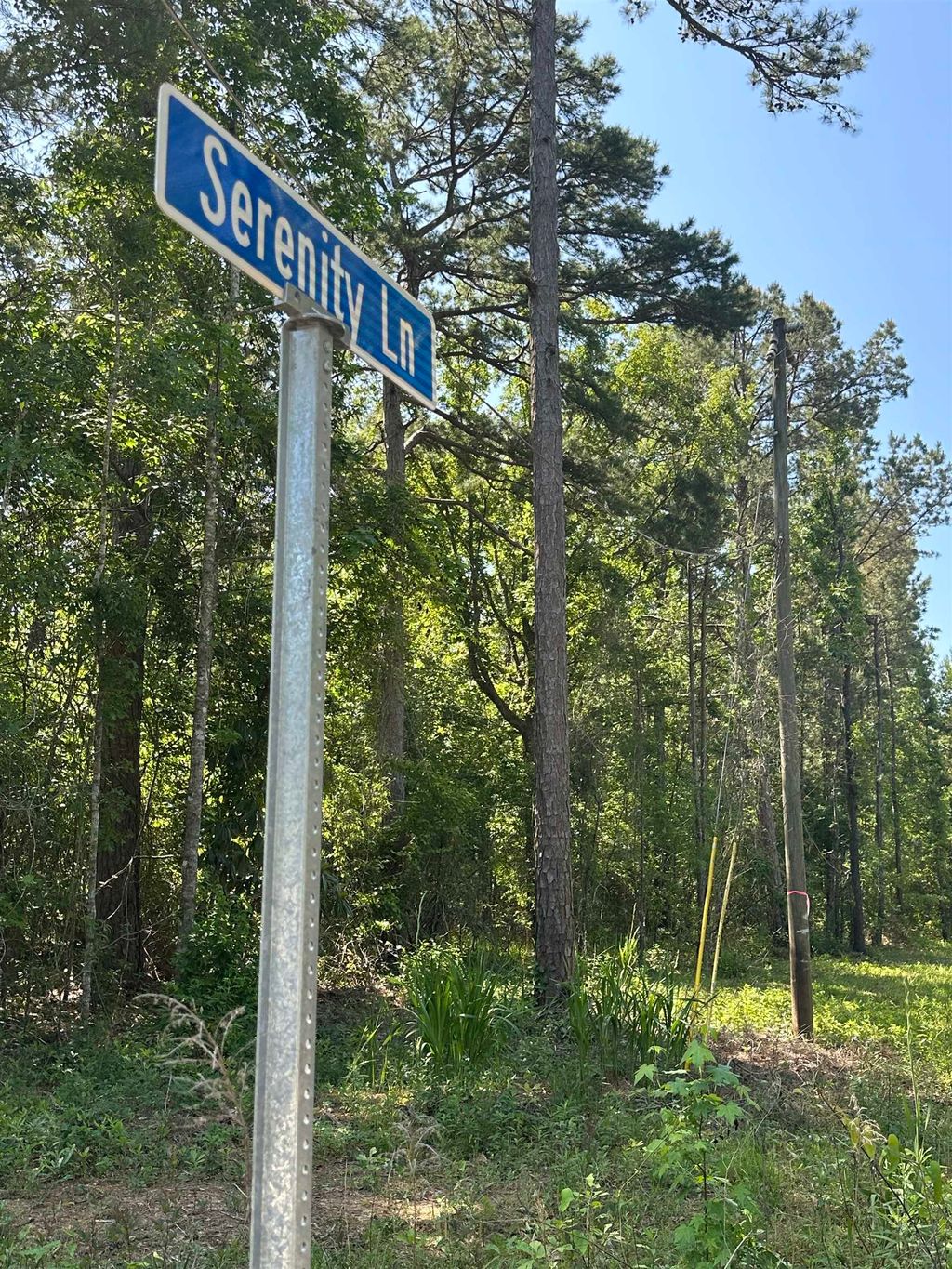 Photo of xxx Serenity Lane #-, Quincy, FL 32351 (MLS # 387664)