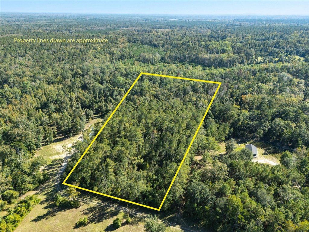 Photo of Johnny Road, Lamont, FL 32336 (MLS # 392570)