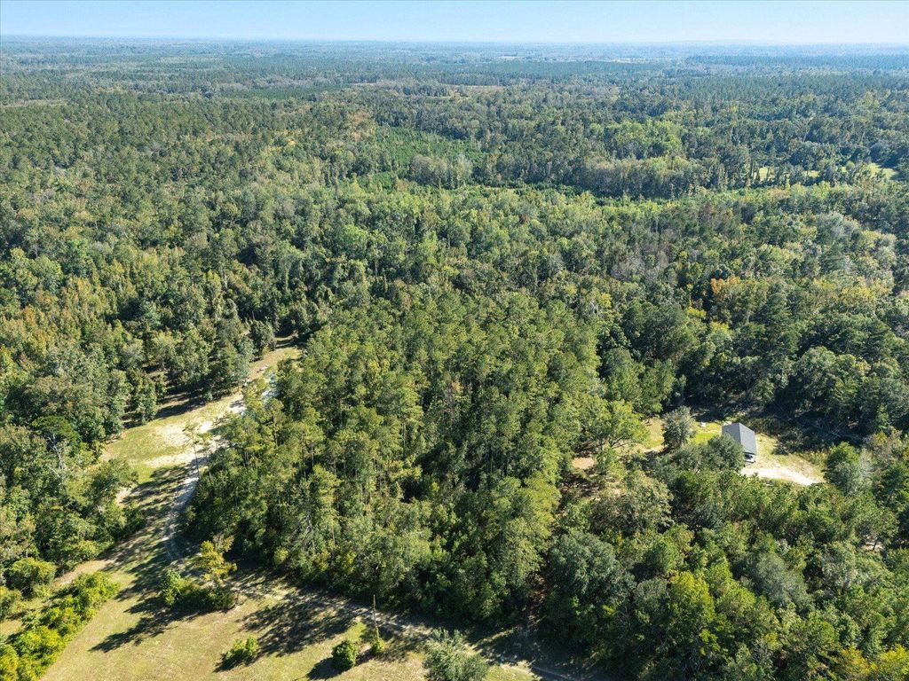 Photo of Johnny Road, Lamont, FL 32336 (MLS # 392570)
