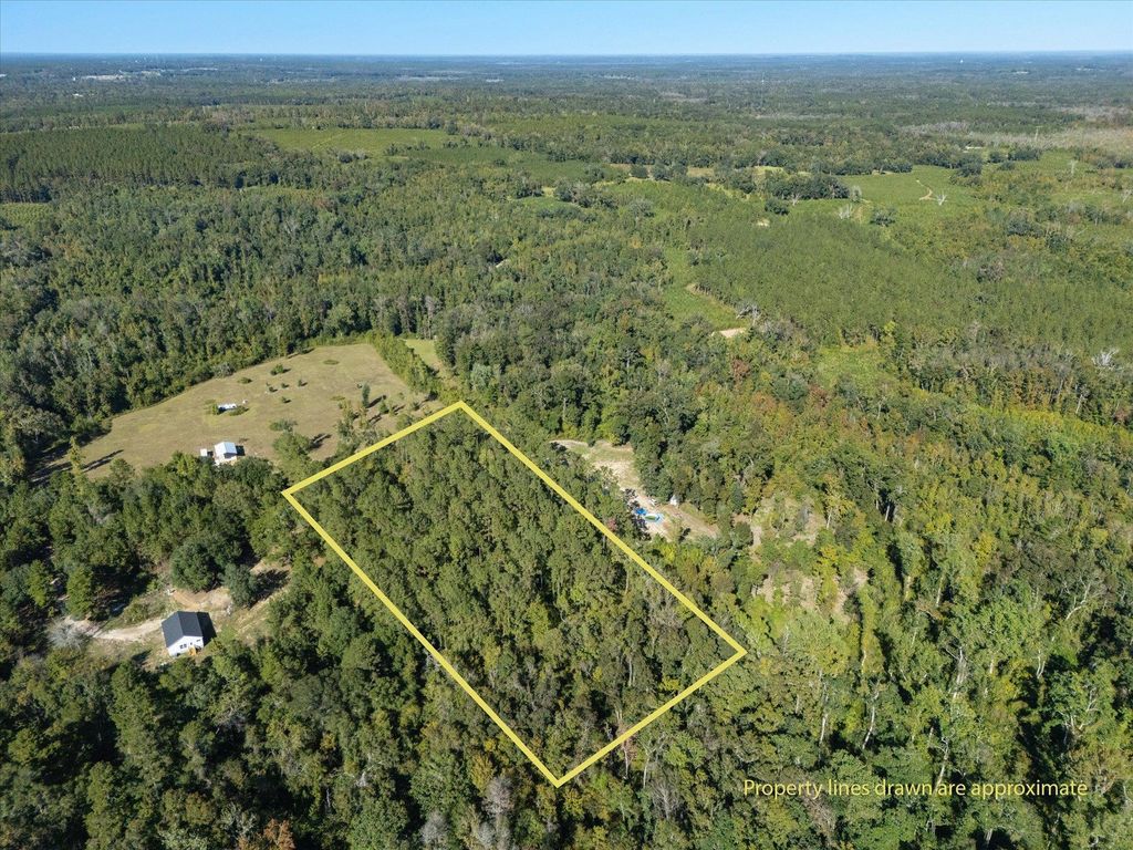Photo of Johnny Road, Lamont, FL 32336 (MLS # 392570)
