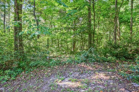 Tiny photo for 3545 TRILLIUM Court, Tallahassee, FL 32312 (MLS # 398333)