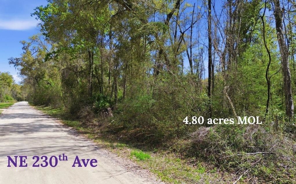 Photo of TBD 230th Avenue, Other Florida, FL 32680 (MLS # 397317)