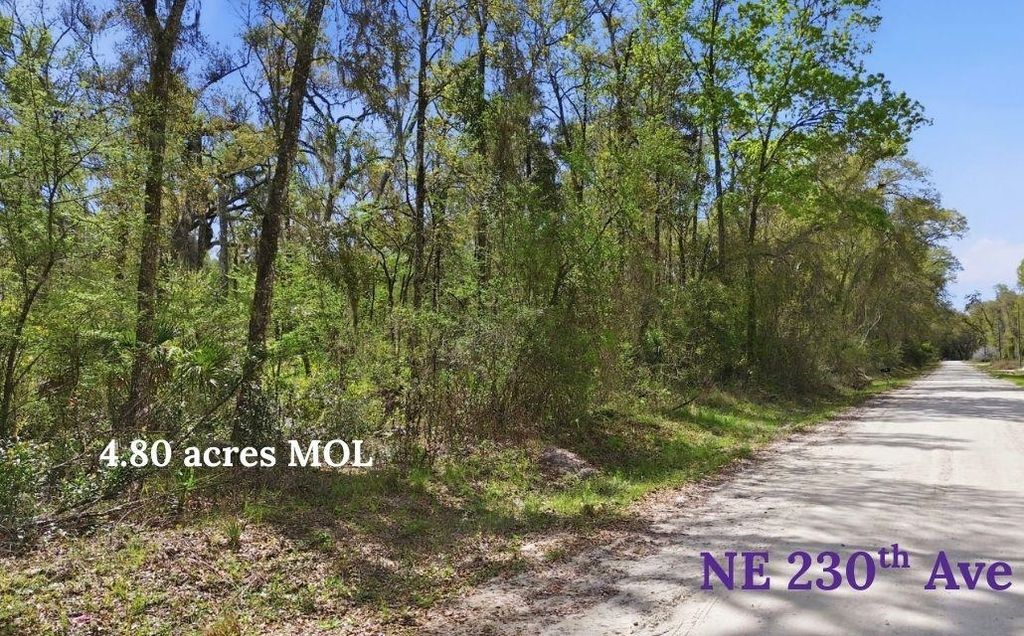 Photo of TBD 230th Avenue, Other Florida, FL 32680 (MLS # 397317)