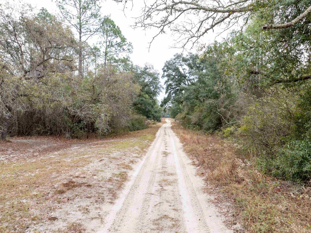 Photo of xxx NE River Country Trail, Lee, FL 32059 (MLS # 393883)