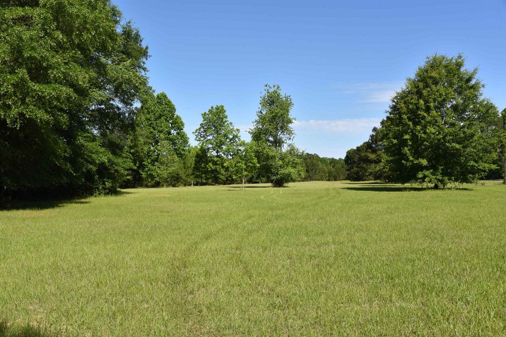 Photo of Solomon Dairy Road, Quincy, FL 32352 (MLS # 399991)