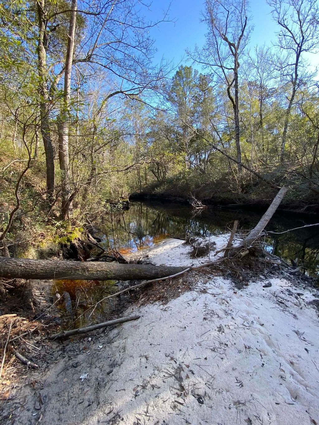 Photo of FONIGAN Road, Sopchoppy, FL 32358 (MLS # 395697)