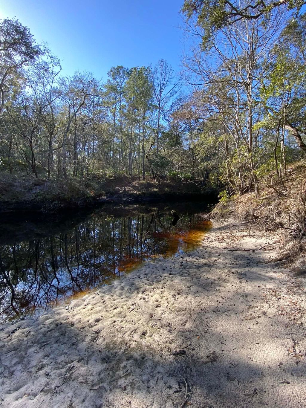 Photo of FONIGAN Road, Sopchoppy, FL 32358 (MLS # 395697)