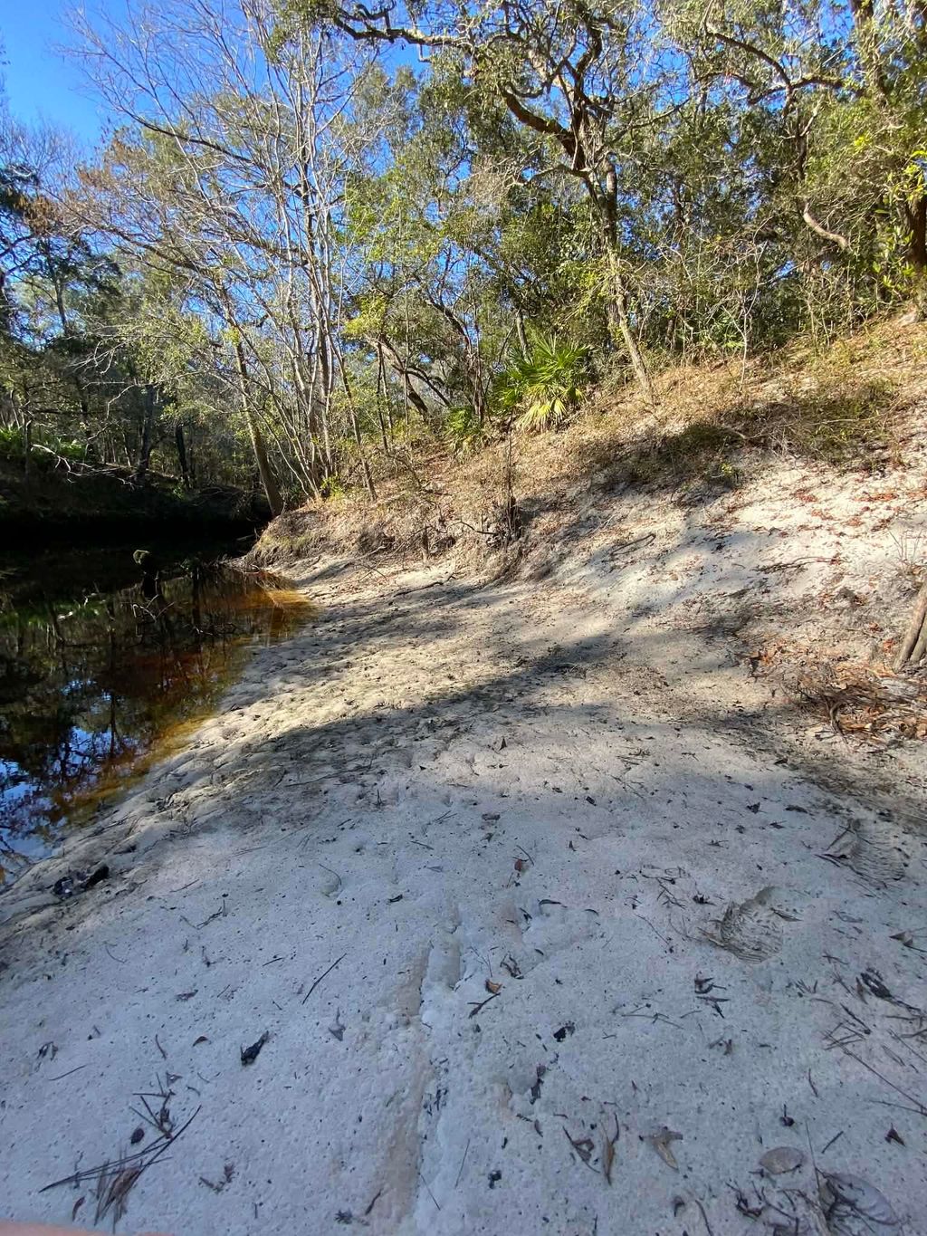 Photo of FONIGAN Road, Sopchoppy, FL 32358 (MLS # 395697)