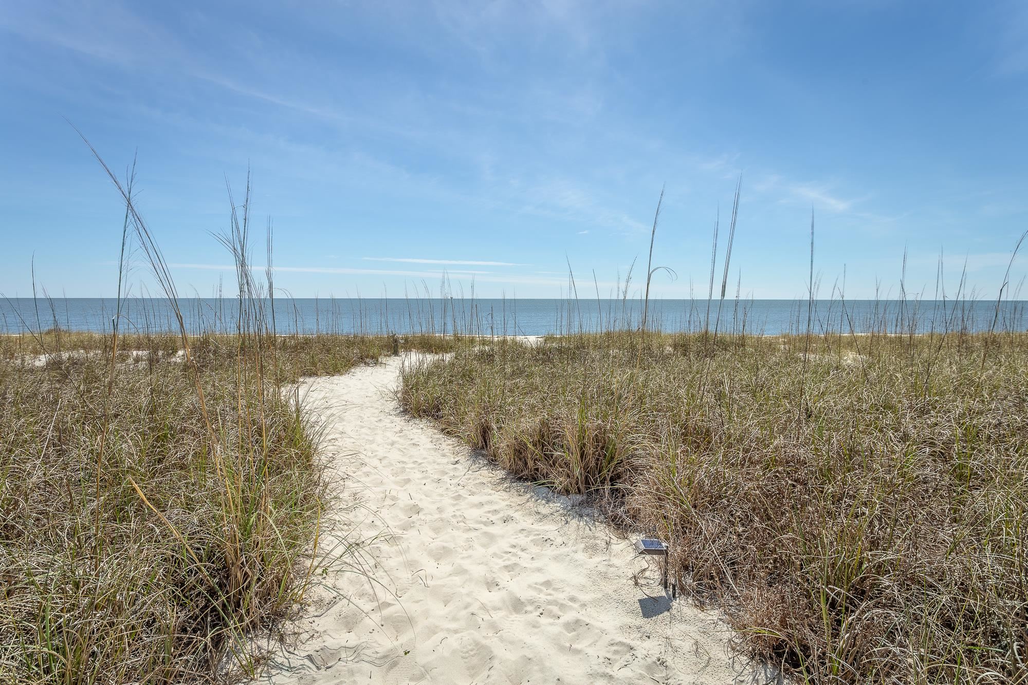 1139 ALLIGATOR Drive