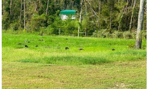 Tiny photo for 22962 144th Street, Live Oak, FL 32060 (MLS # 397819)