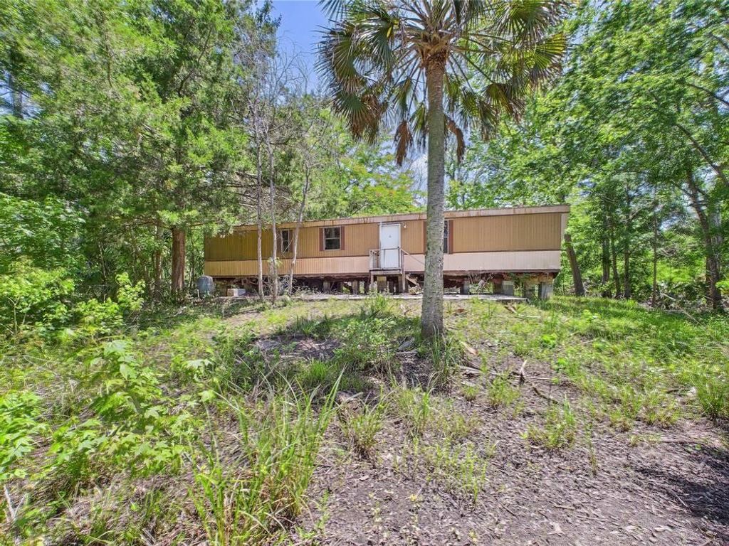 Photo of 23210 Nutall Rise Road, Lamont, FL 32336 (MLS # 393406)