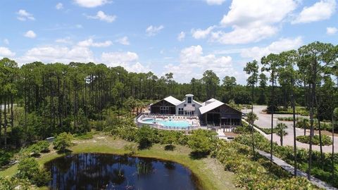 Tiny photo for 3493 Firefly Circle, St Teresa, FL 32358 (MLS # 399308)
