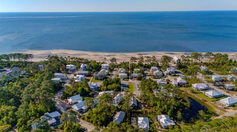 Tiny photo for 3493 Firefly Circle, St Teresa, FL 32358 (MLS # 399308)