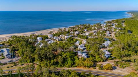Tiny photo for 3493 Firefly Circle, St Teresa, FL 32358 (MLS # 399308)