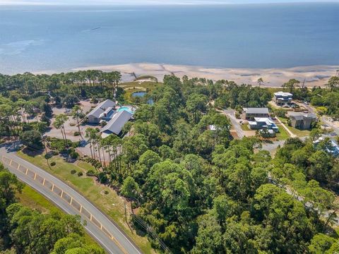 Tiny photo for 3493 Firefly Circle, St Teresa, FL 32358 (MLS # 399308)