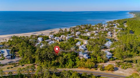 Tiny photo for 3493 Firefly Circle, St Teresa, FL 32358 (MLS # 399308)