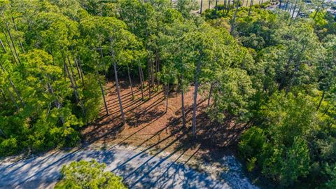 Tiny photo for 3493 Firefly Circle, St Teresa, FL 32358 (MLS # 399308)