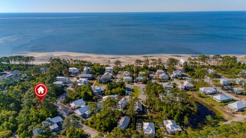 Tiny photo for 3493 Firefly Circle, St Teresa, FL 32358 (MLS # 399308)