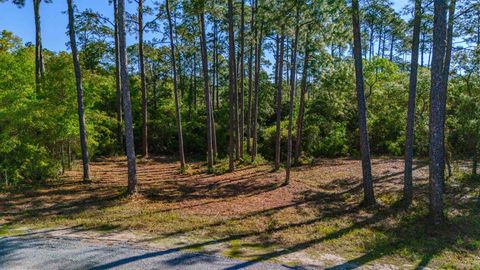 Tiny photo for 3493 Firefly Circle, St Teresa, FL 32358 (MLS # 399308)