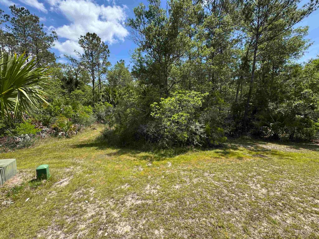 Photo of xxx BURNT PINE Loop, St Marks, FL 32355 (MLS # 399573)