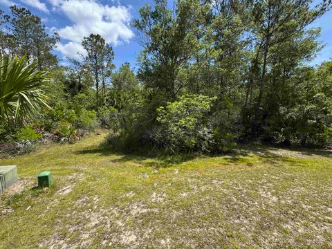 Tiny photo for xxx BURNT PINE Loop, St Marks, FL 32355 (MLS # 399573)