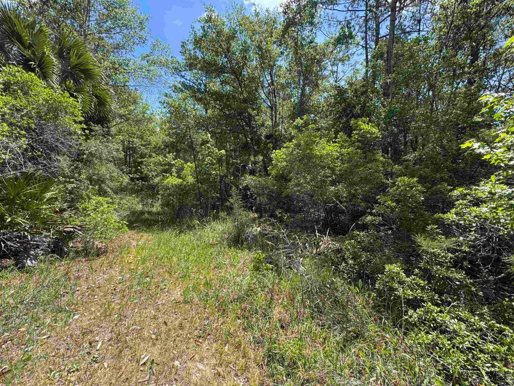 Photo of xxx BURNT PINE Loop, St Marks, FL 32355 (MLS # 399573)
