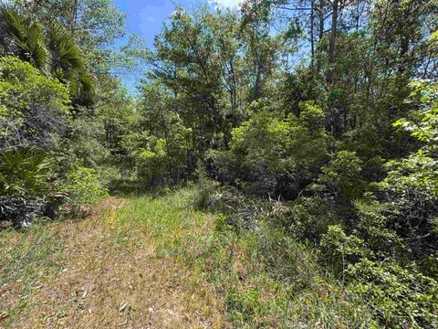 Tiny photo for xxx BURNT PINE Loop, St Marks, FL 32355 (MLS # 399573)