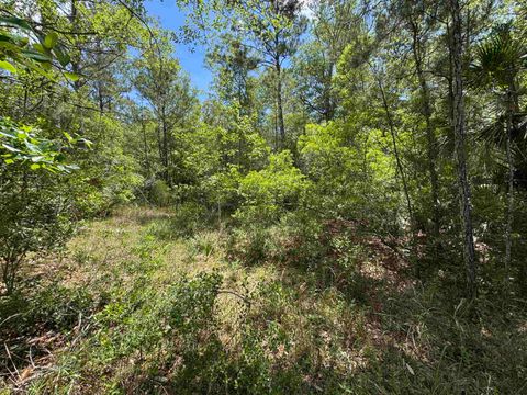 Tiny photo for xxx BURNT PINE Loop, St Marks, FL 32355 (MLS # 399573)