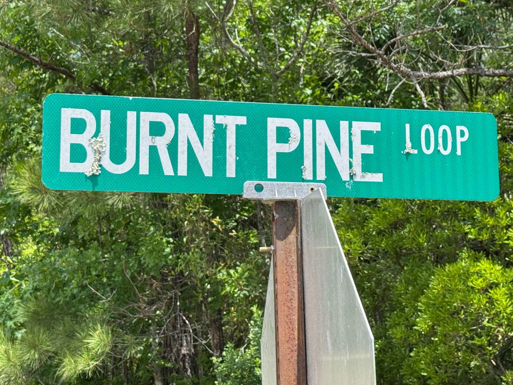 Photo of xxx BURNT PINE Loop, St Marks, FL 32355 (MLS # 399573)