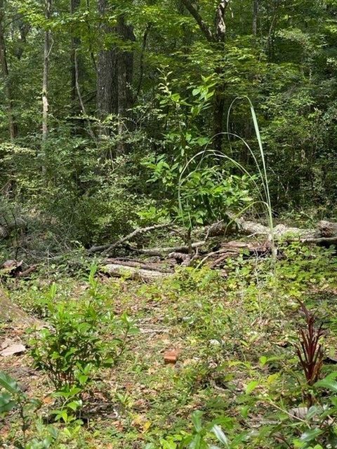 Tiny photo for Lot 14 Crestwood Drive, Tallahassee, FL 32311 (MLS # 362571)