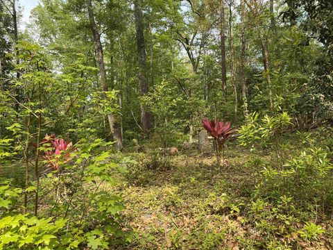 Photo of Lot 14 Crestwood Drive, Tallahassee, FL 32311 (MLS # 362571)