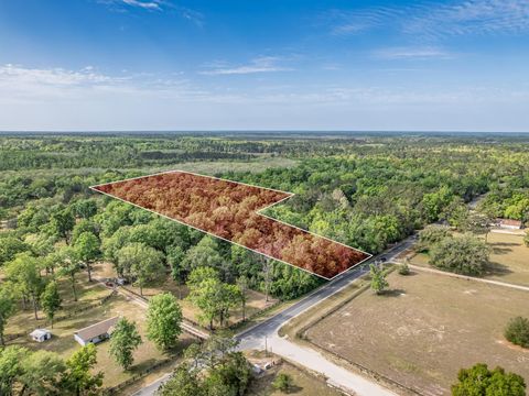 Tiny photo for 965 Shadeville Road, Crawfordville, FL 32327 (MLS # 397904)