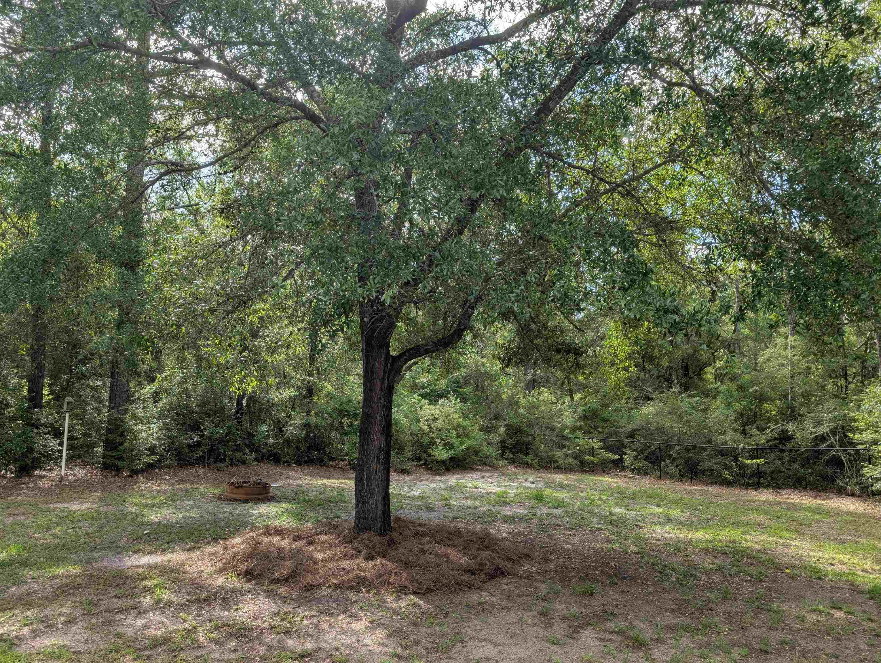 311 Revell Road