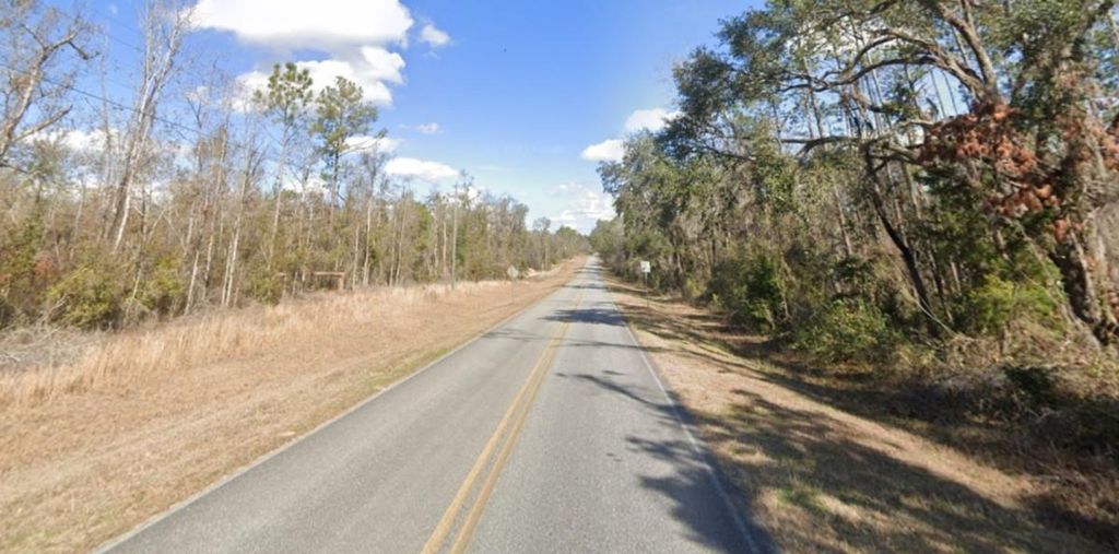 Photo of 0 NE Nixon Place, Madison, FL 32340 (MLS # 393765)